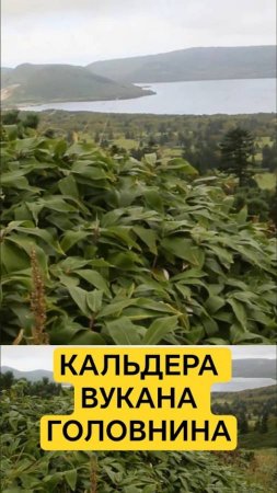 Что такое кальдера вулкана? Вулкан Головнина на острове Кунашир