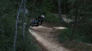 ROOTS - Andreu Lacondeguy