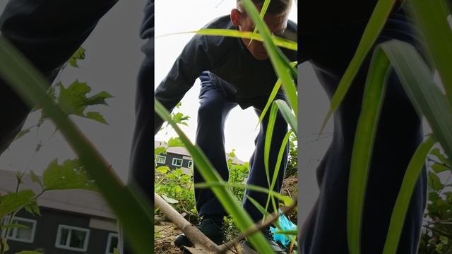 1000002146.mp4