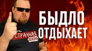 БЫДЛО ОТДЫХАЕТ: Гопники и Маргиналы устроили АД на Пляжах и в Ресторанах! Конфликты, Драки, Хамство