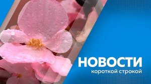 КОРОТКИЕ НОВОСТИ_040725