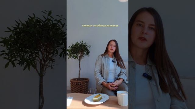 lv_0_20250704205402.mp4