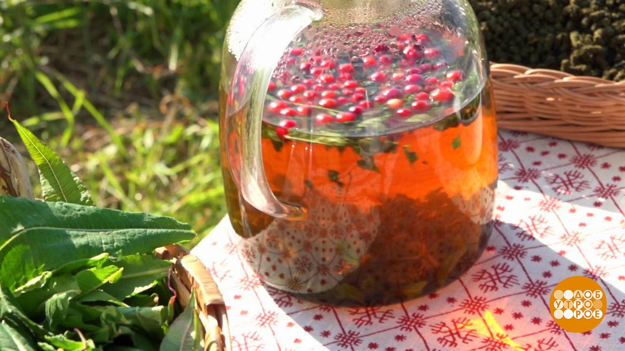 Лето... Жара... Давай заварим чай! Доброе утро. Фрагмент выпуска от 04.07.2025