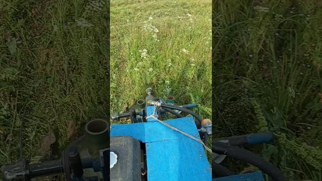 сенокос 2025.mp4