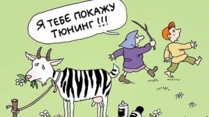 Ирина  рокер-козовод, супер женщина.