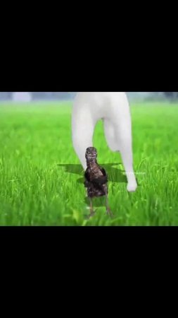 О как