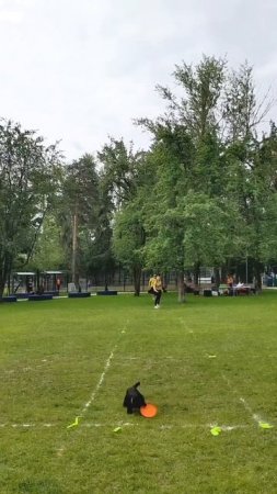 29.06.2025 🥏 "В Стиле Диска" - нарезка части выступлений Новички