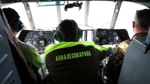 Лесные пожары