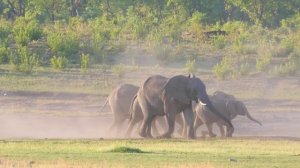 The Hollies - Long Cool Woman In a Black Dress