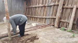 Онуфриево. Загон для поросят.