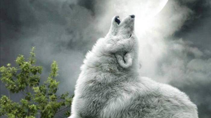 Какой уже по счёту день