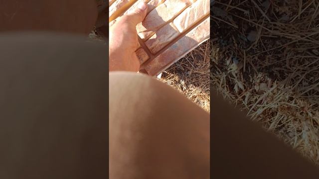 удачное начало