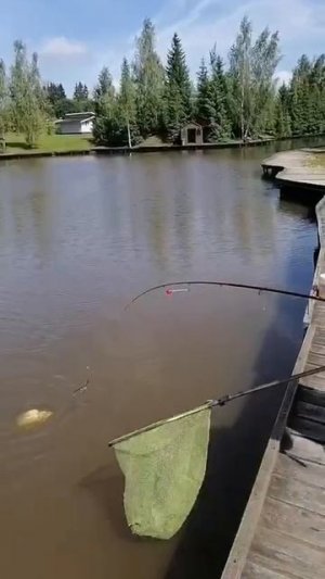 КРХ ТРИФОН