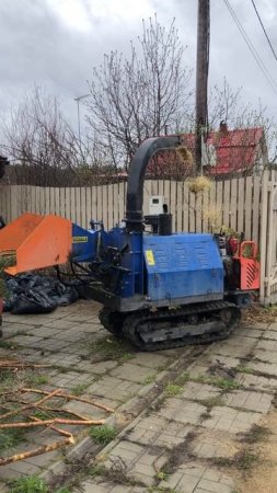 Ветки в СНТ Ясень