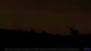 Секрет идеального релакса - здесь! - Live-It feat Andres Franco and Grafezzy -- Ketsa -- As Above So