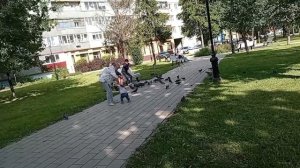 распаковка,готовка,прогулка,болталка
