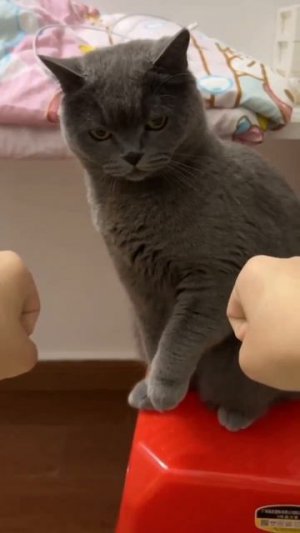 Красиво😜