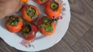 растёт ли хурма в краснодаре хурма в краснодарском крае