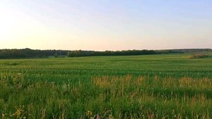 04-07-2025как вязать носки на трёх спицах🌺🌺🌺