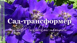 Сад-трансформер на Московской площади