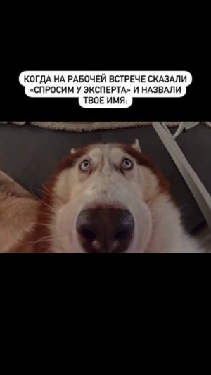 Эксперт