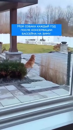 Подпишись 👉 https://vk.com/ykrasheniy_iz_kamny