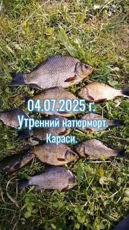 Карась. 04.07.2025 г.