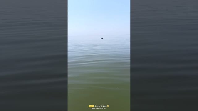 что-то на воде