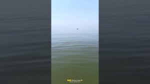 что-то на воде