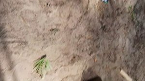 1000019101.mp4