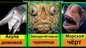 Самые страшные обитатели океана! Только не пугайтесь!