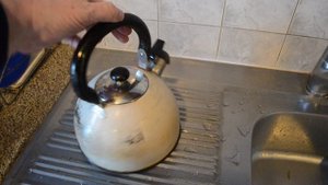 Чайник со свистком Daniks на 3 литра