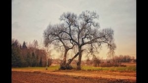 2й вариант. И у природы лицемерия хватает.  Нет сентября…