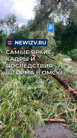 Самые яркие кадры и последствия шторма в Омске