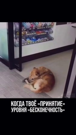 Когда твоё "ПРИНЯТИЕ"
уровня "БЕСКОНЕЧНОСТЬ"

Отличных выходных ❤️