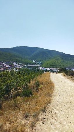 Сукко