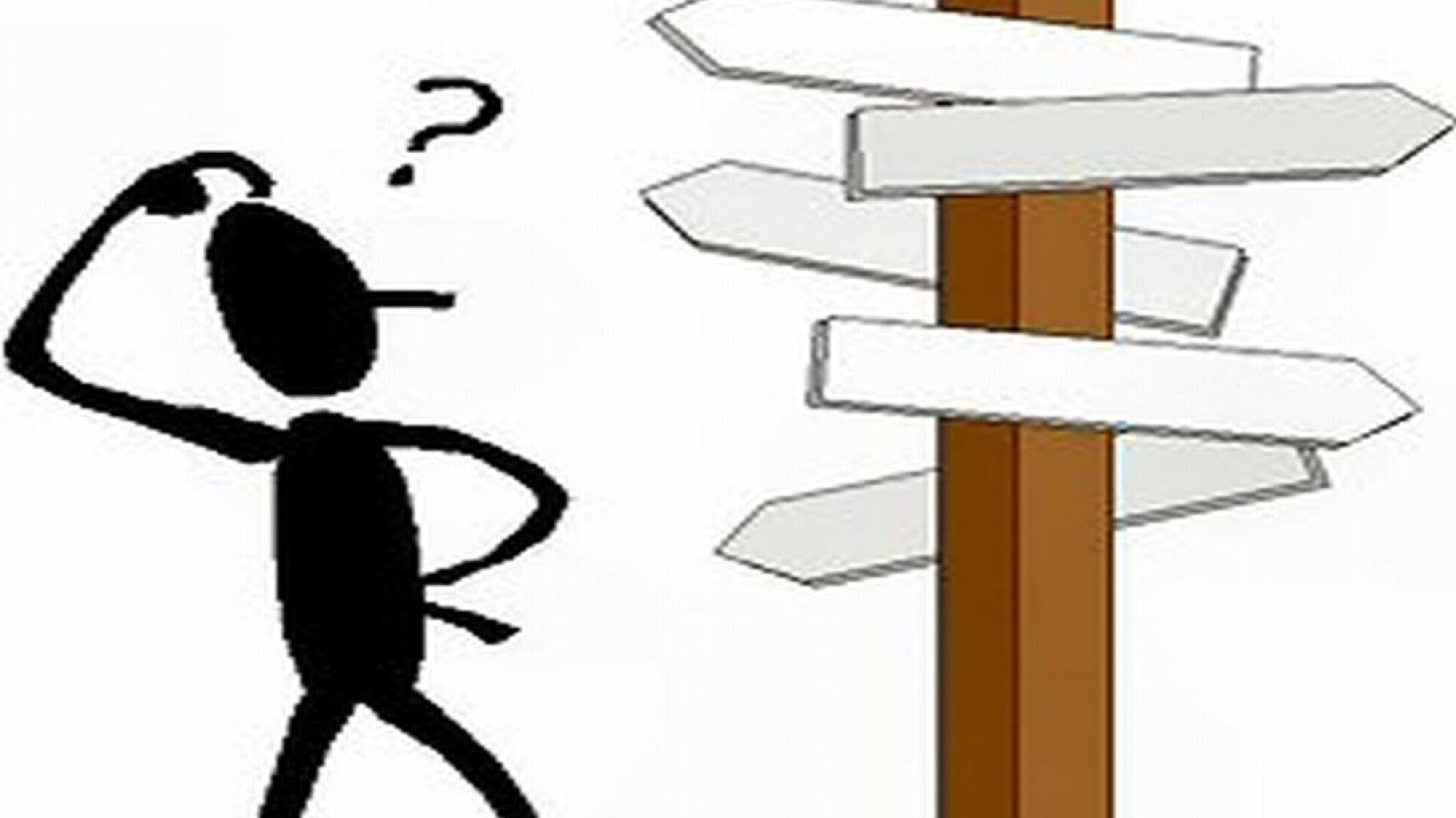 СамоМнение и ЗдравоМыслие.