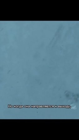 Бывает и такое .