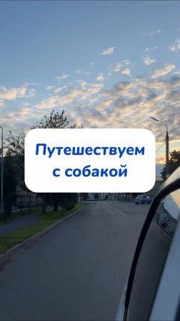 Артикул на WB #234627478 Ozon #1641932840 эти салфетки - лучшее средство от неожиданных пятен!