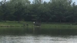 поимка на большом водоёме