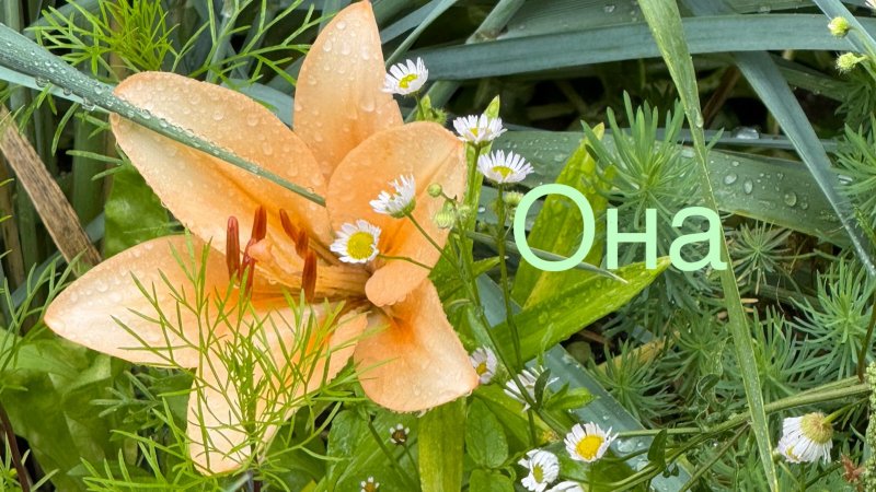 Красивая луна и песня "Она" #сезонконтентврутубе