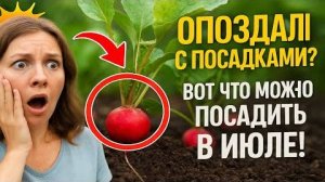 Вы ОПОЗДАЛИ с посадками? 🤯 Вот что можно посадить в июле и собрать урожай!