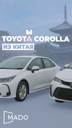 Toyota Corolla из Китая — две роскошные комплектации, один идеальный выбор для тебя!