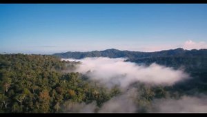 ОБИТАЕТ. Страшные. Мистические. Творческие истории. Хоррор