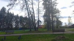Летняя роща