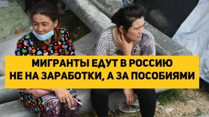 мигранты едут в Россию не на заработки, а за пособиями