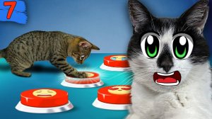 КОШКА УПРАВЛЯЕТ ЖИЗНЬЮ А ну-ка Давай-ка 24 ЧАСА! ПРОДОЛЖЕНИЕ 100 КНОПОК ЧЕЛЛЕНДЖ! ВЫПОЛНЯЕМ ЗАДАНИЯ