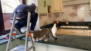 Попугаи немного погрызли стены так что пришлось сделать ремонт