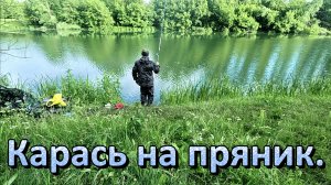 Карась на пряник.
