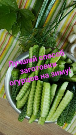 Самая лучшая заготовка из молодых огурцов-исчезает из погреба первой!